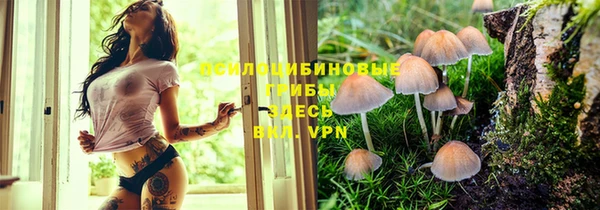 таблы Абинск