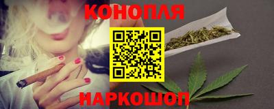 крисы Лесосибирск