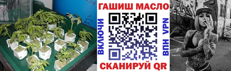 ТГК жижа  blacksprut вход  Егорьевск 